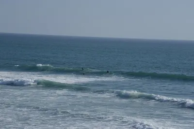 DSC_6970 (Large).JPG